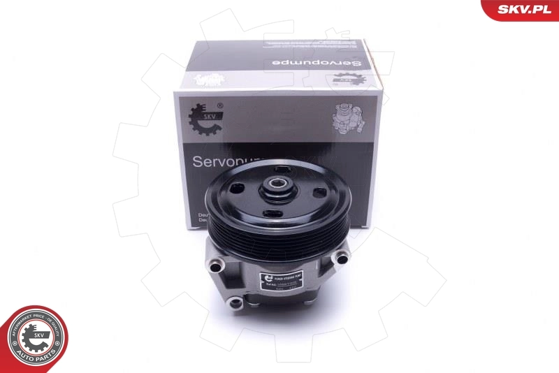 Hydraulic Pump, steering